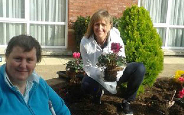 Gardening in Summer